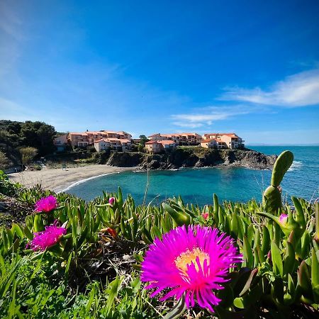 Ferienwohnung Chez Caro Port Vendres Exterior foto